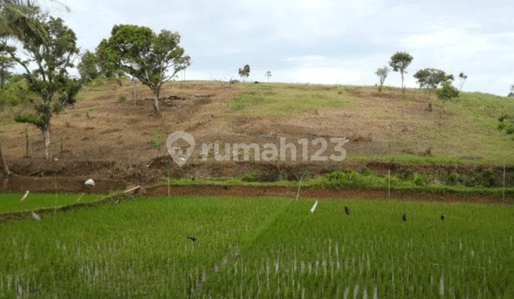 Tanah Di Sancang Garut, Cocok Untuk Resort