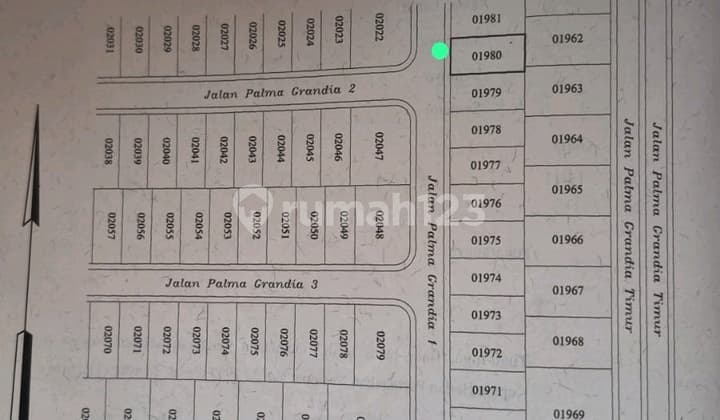 Palma Grandia