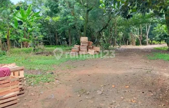 Tanah Akses Bagus di Balaraja untuk Industri Pabrik Gudang