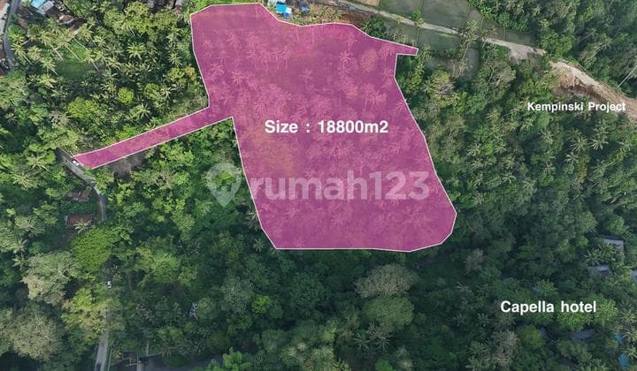 Dijual Tanah Ubud Diantara 2 Hotel , Cocok Buat Hotel , Pertokoan