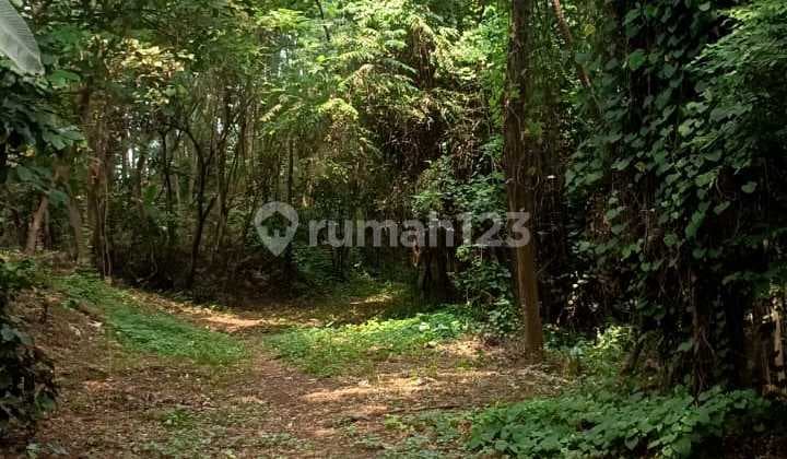 FOR SALE QUICKLY vacant land Price 50% of NJOP Location New Land Beji Depok