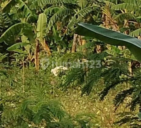 Kavling Industri Di Kawasan Modern Cikande Harga Terbaik
