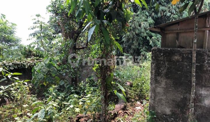 Tanah Di Balaraja Barat Dekat Pintu Tol Cocok Buat Gudang