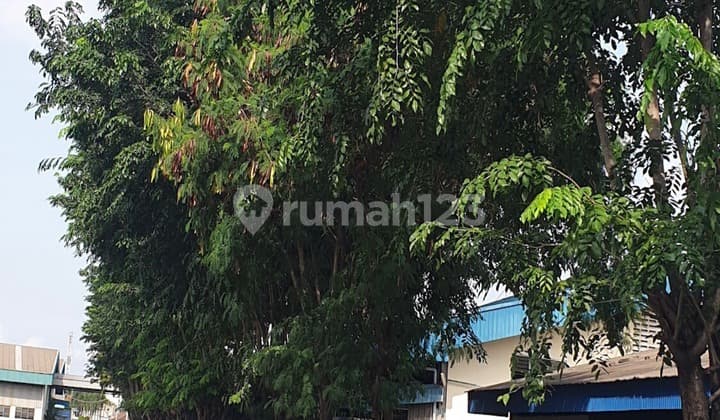 Ex Pabrik Di Karawang Bangunan Bagus Harga Murah