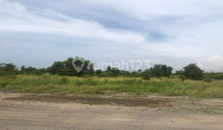 Lahan Kosong di Cilegon Luas 5Ha, 10Ha Dll Cocok Buat Stockpile