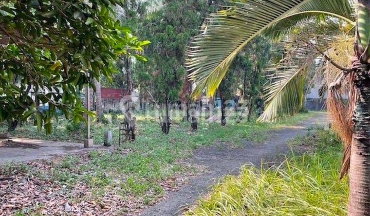 Lahan Komersil Luas 2ha Di Jl Raya Serpong Cocok Buat Superblok