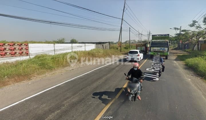 Jual tanah Siap bangun di Raya Kedamean pintu tol KLBM Kondisi Tanah Sdh urug padat