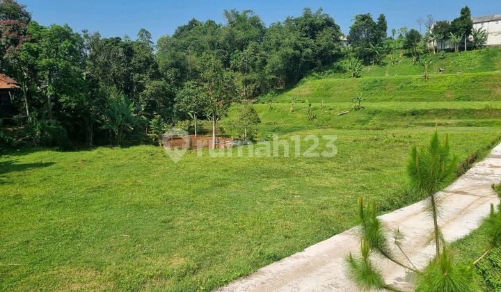 Tanah Strategis Di Puncak Shm Siap Bangun