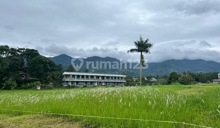 Strategic Land in Cisarua Near Puncak Tourist Area
