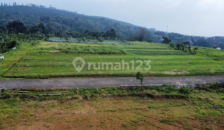 Tannah Murah di Puncak SHM Siap Bangun
