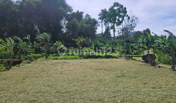 Di.jual Cepet.tanah.murah di Puncak Siap Bangun