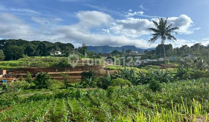Di Jual Cepat Tanah di Pumcak Murah Siap Bangun