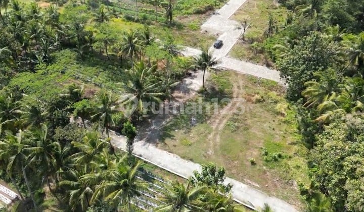 2KM UNY Wates, Dijual Tanah Tawangsari
