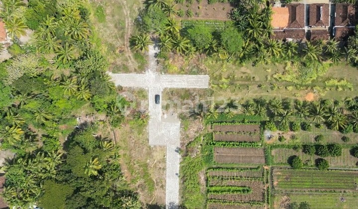 500 Meter UAD Wates, Dijual Tanah Tawangsari