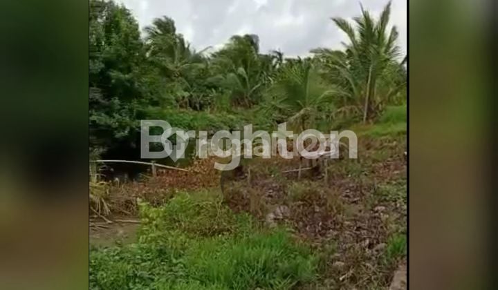 TANAH DI KALIMANTAN ±30-40 MENIT DARI PONTIANAK TANAH DI KALIMANTAN ±30-40 MENIT DARI PONTIANAK