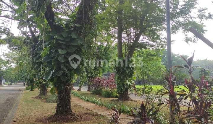 Kavling Muraaha Magnolia 336m2 17 Jt/m2