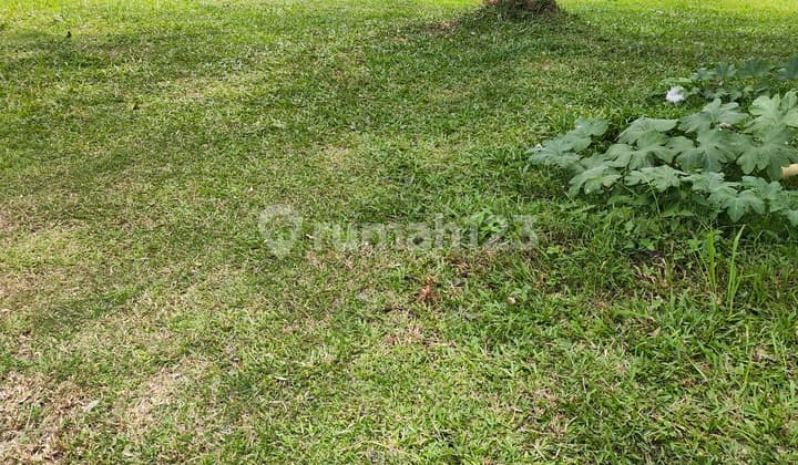 Dijual Tanah Pinggir Jalan Raya Ciater Luas Tanah 1812 M2 Harga 15jt meter2 Nego