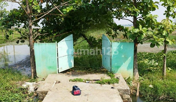 Tanah di Jl. Irigasi Bekasi