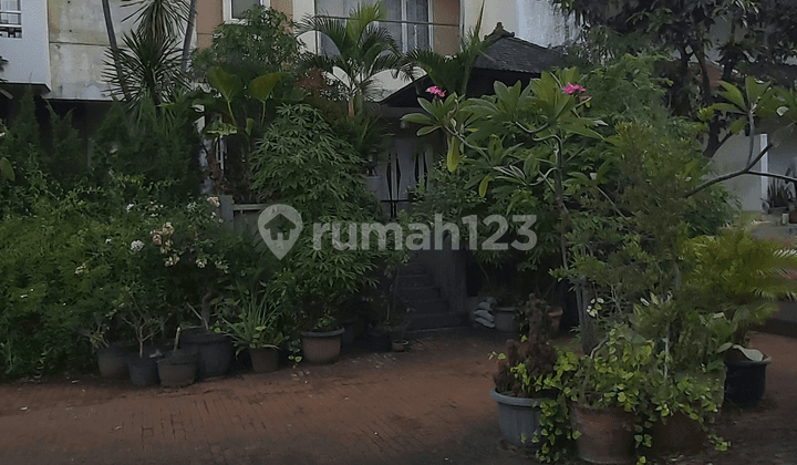 Rumah Minimalis di Pantai Mutiara Town House, Jakarta Utara, Lingkungan Tenang dan Asri