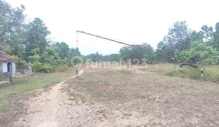 Di Jual Tanah Siap Bangun 30.211 M2 di pangkalan Kerinci, Pelalawan