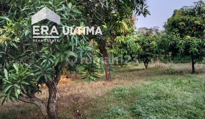 Jual Tanah dan Bangunan Cocok Untuk Usaha di Majalengka