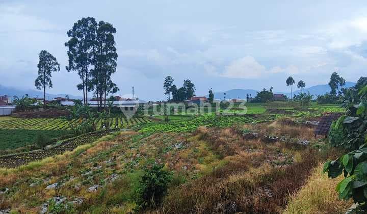 Tanah Area Luas Strategis di Ciwidey Bandung
