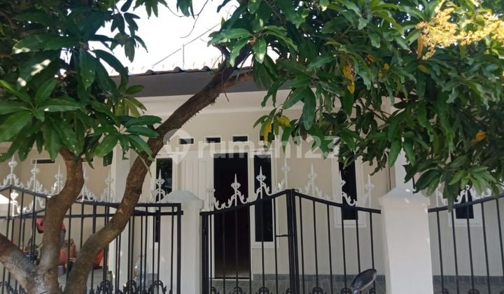 Rumah Luas Siap Huni 9 Menit ke Rs Hermina Bogor SHM Dibantu KPR J-37660