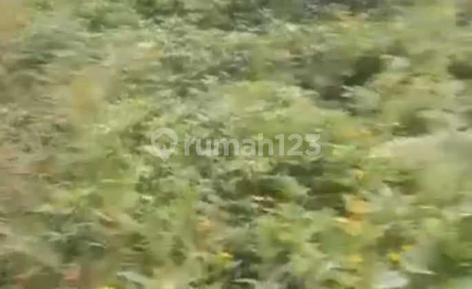 Di jual Tanah Darat Di Leuwi Sadeng-Bogor 1