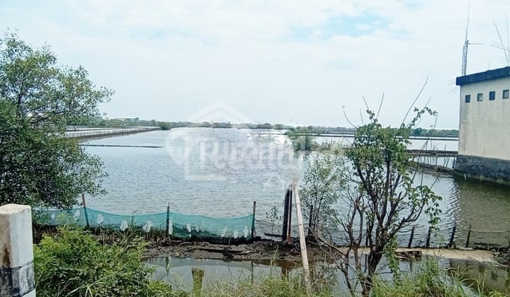 Tanah di Jalan Raya Semarang Kendal Si Vn 4900 Tanah di Jalan Raya Semarang Kendal Si Vn 4900