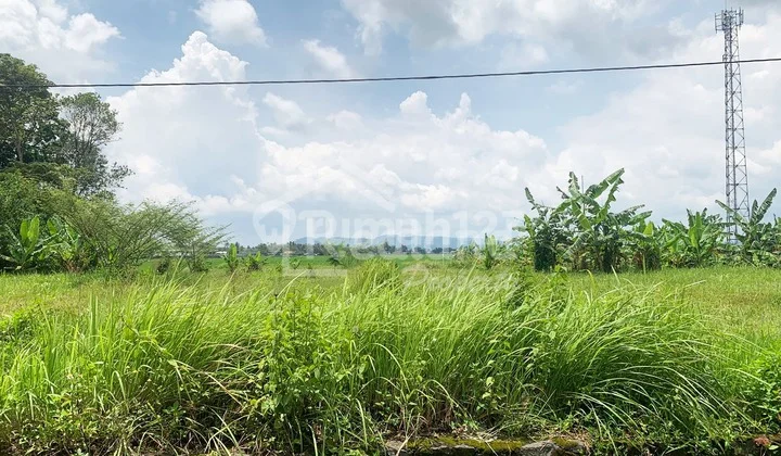 Tanah di Daerah Banyubiru, Ambarawa Si 4911 Tanah di Daerah Banyubiru, Ambarawa Si 4911