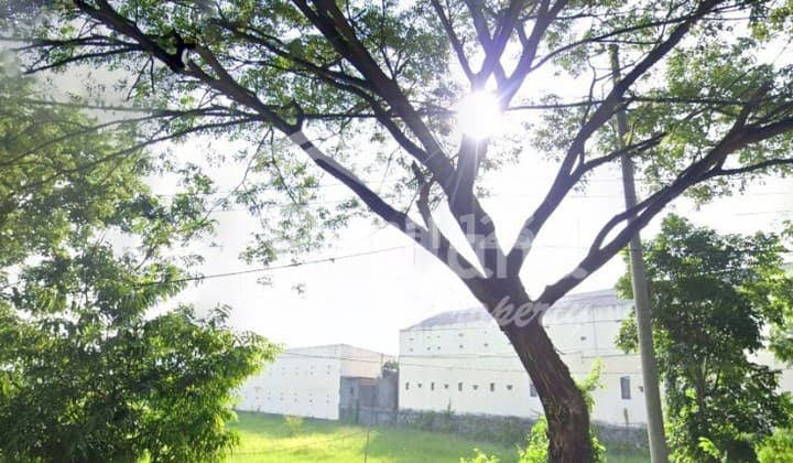 Land in West Ring, Jati Kudus Si 4511