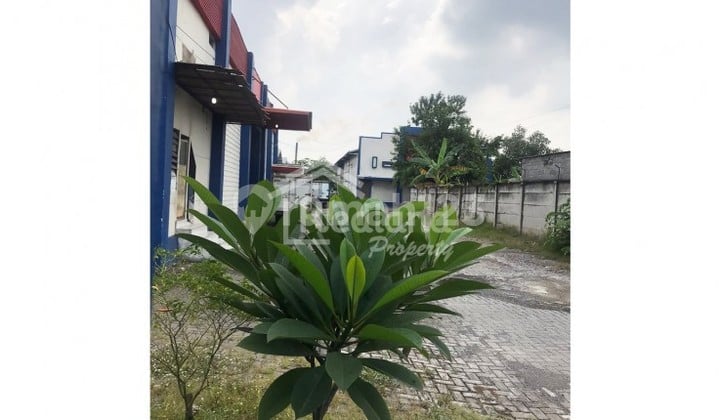 Warehouse in Wijayakusuma Industrial Area, Semarang Vn 4673 Warehouse in Wijayakusuma Industrial Area, Semarang Vn 4673