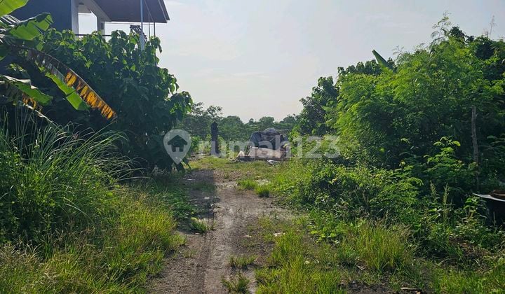 Tanah Cantik View Menarik