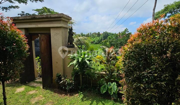 DISEWAKAN RUMAH DI UBUD