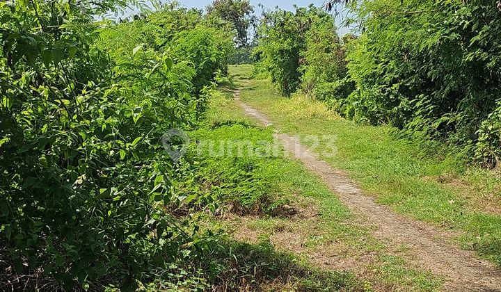 Zona Kuning !!!! Tanah di Kemenuh