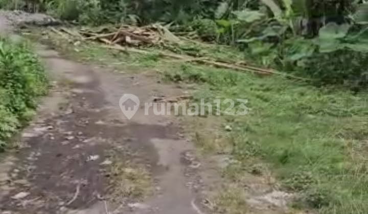 Tanah Langka Di Ubud