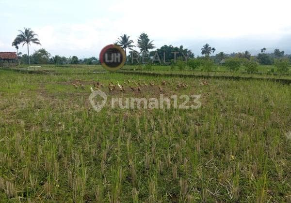 Dijual Tanah Sawah Di Cisayong - Tasikmalaya