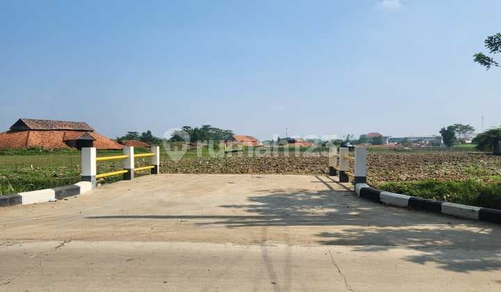 Land for Sale in Cibarusah, Along the County Main Road, Suitable for Housing, Warehouses, and Other Businesses, Highly Strategic Location, Lowest Price.
