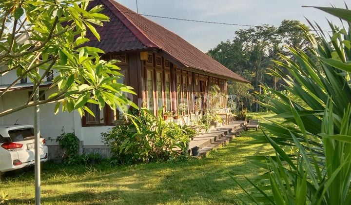 Dijual Bungalow Luas 15 Are View Gunung dan Sawah di Jl Raya Perasi Pertima Karangasem Bali