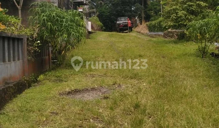 Dijual Tanah Murah 1,65 Are Dekat Bali Butterfly Park Tabanan & Tol Gilimanuk Mengwi Dijual Tanah Murah 1,65 Are Dekat Bali Butterfly Park Tabanan & Tol Gilimanuk Mengwi