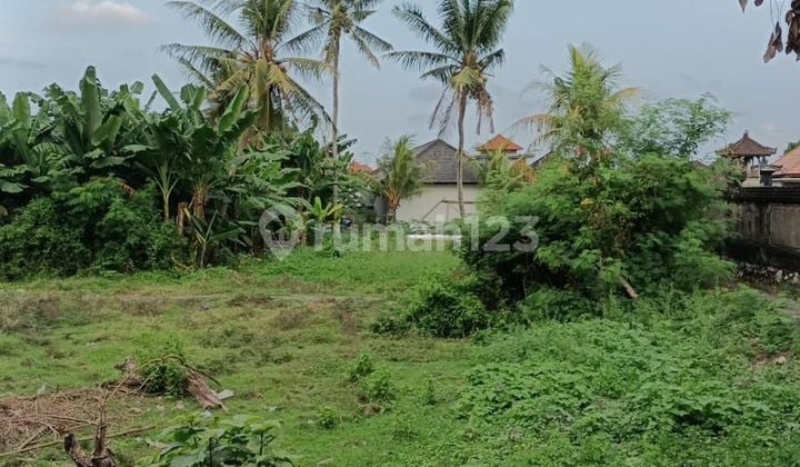 Dijual Tanah Jarang Ada 1,85 Are Dekat Kawasan Villa Elite Munggu Canggu Bali