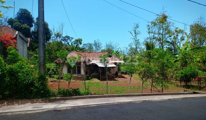 Dijual Tanah Perkebunan Kopi 4,5 HA Di Buleleng Bali Ada Mata Air