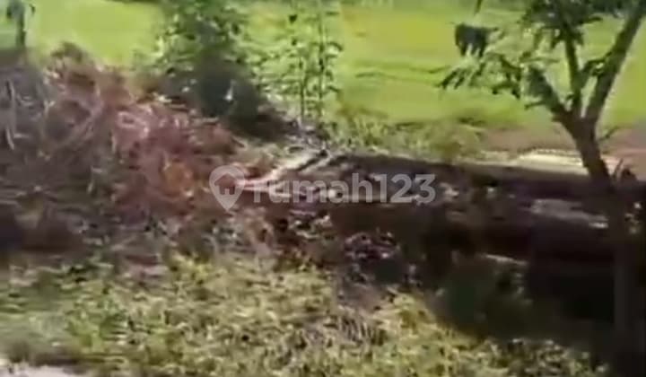 Dijual Tanah Shm Kota Labuan Bajo Lt 2.039 M2 Dekat Polres Manggarai Barat