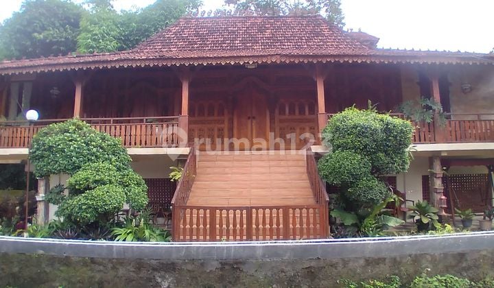Rumah Vila gebyok jati dekat candi kalasan full furnished