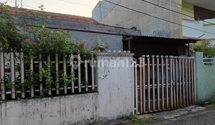 Termurah Hitung Tanah Hanya 6 Jutaan Luas Lebar Harus Renovasi Didekat Kenjeran