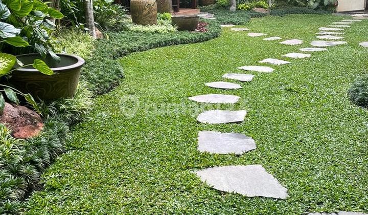 Termurah Rumah (Usaha) Luas Terawat di Nginden Surabaya Dekat Merr Tenggilis Rungkut