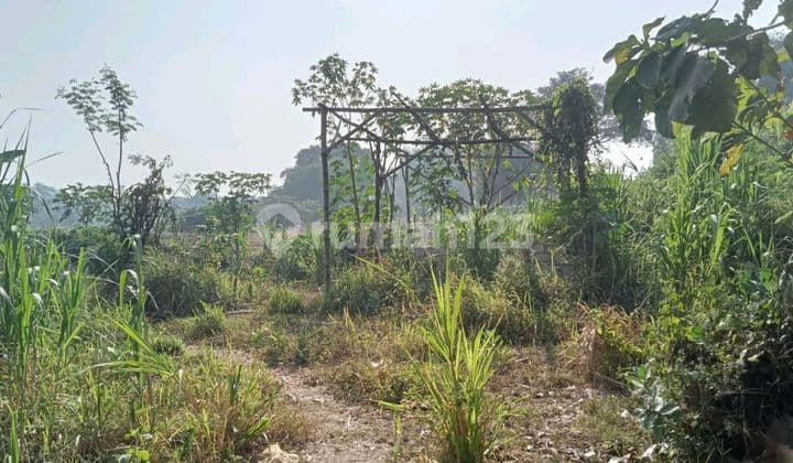 Termurah Tanah Industri Luas 5 Ha Di Wonorejo Purwosari Pasuruan Jawa Timur Dekat Tol