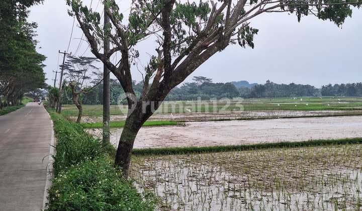 Serang Banten Land, 2 Kilometers from Toll Gate, Affordable Price, Can Buy in Parts