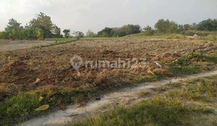 Tanah 50 Hektar zona Kuning Pemukiman sragen Jawa Tengah Depan Jalan Provinsi