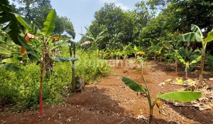 Siap Huni, SHM, Harga NJOP Cilangkap, Depok